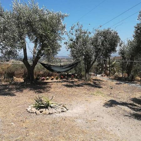 Villa Emma Con Panorama Etna A 10 Minuti Dal Mare 伦蒂尼 外观 照片
