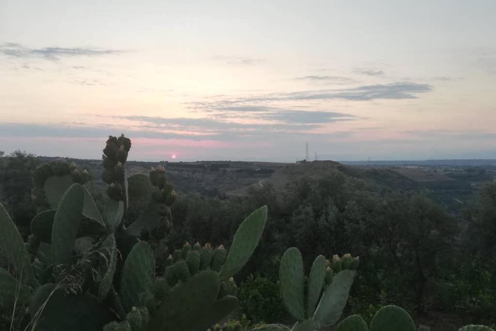 Villa Emma Con Panorama Etna A 10 Minuti Dal Mare 伦蒂尼 外观 照片
