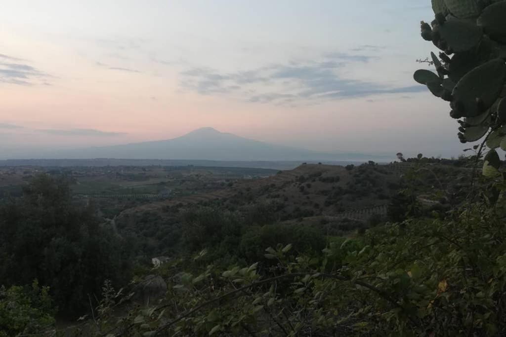 Villa Emma Con Panorama Etna A 10 Minuti Dal Mare 伦蒂尼 外观 照片